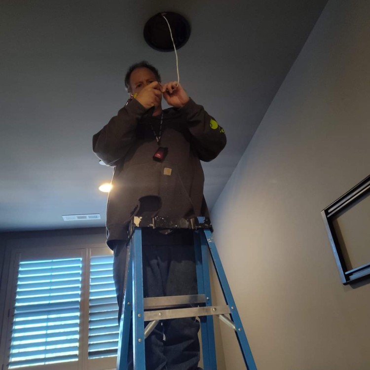 Technology services in The USA