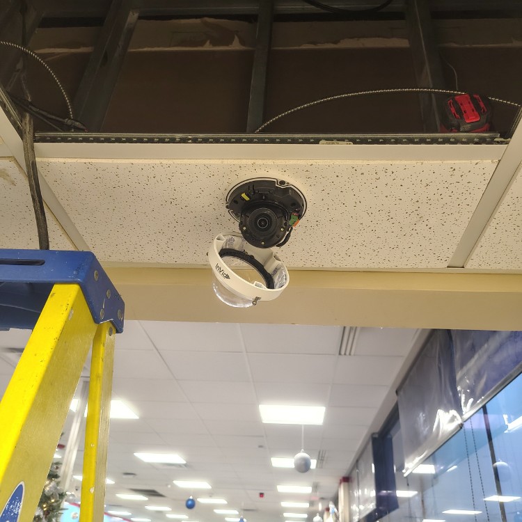 Technology services in The USA